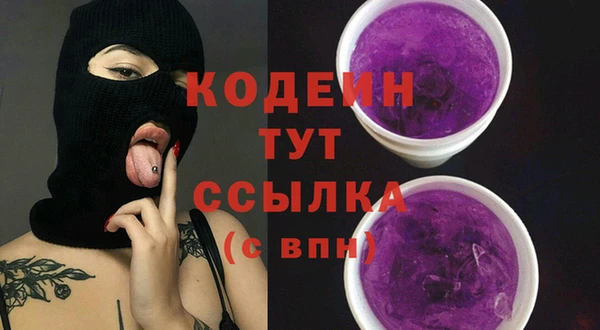 шишки Каменногорск