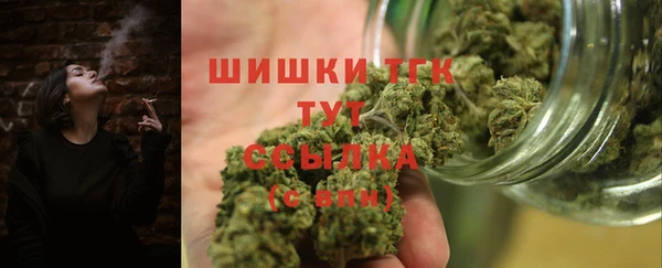 шишки Каменногорск