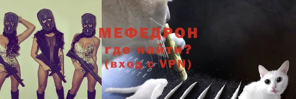 шишки Каменногорск