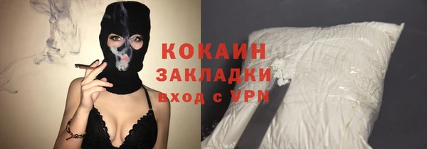 шишки Каменногорск
