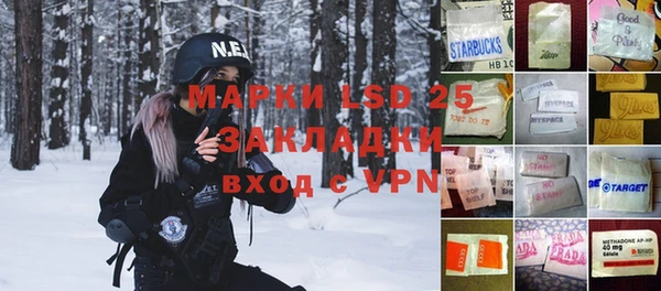 прущие грибы Иннополис