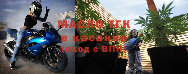 шишки Каменногорск