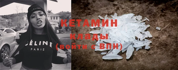 шишки Каменногорск