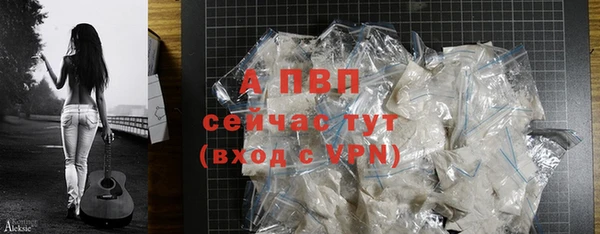 шишки Каменногорск