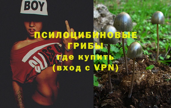 ECSTASY Каменск-Шахтинский