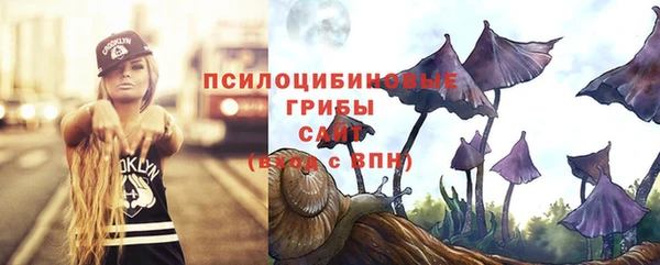 бутират Карпинск