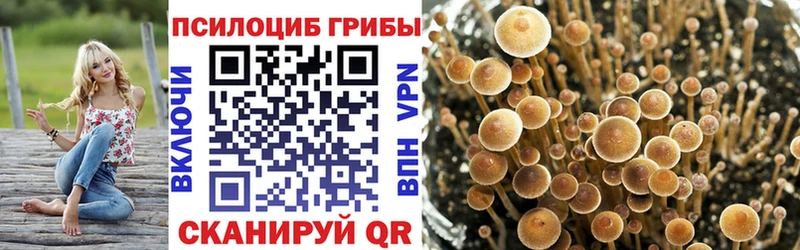 даркнет клад  что такое   Красный Холм  Галлюциногенные грибы ЛСД 
